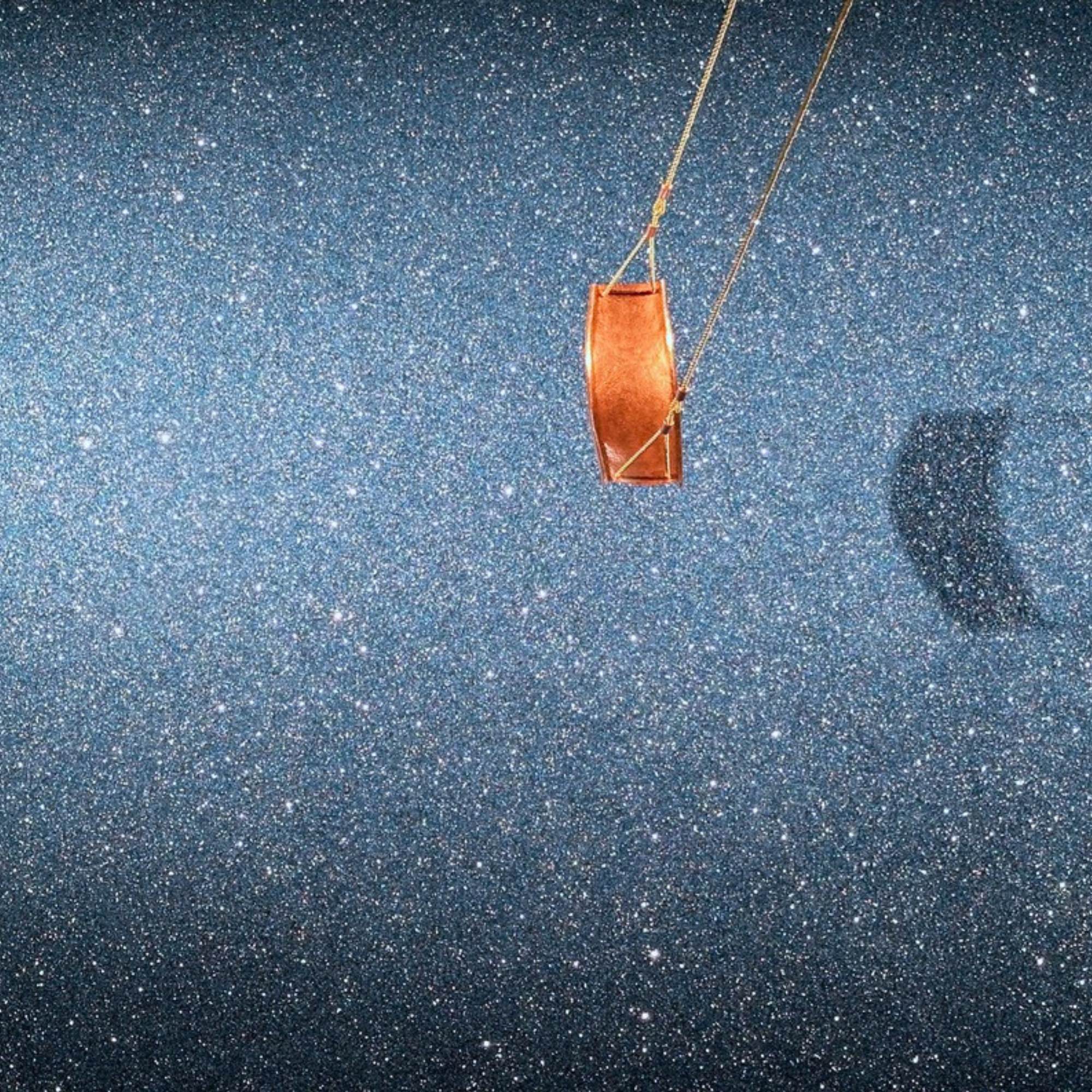 Jolanda Meulendijks, detail Vllucht